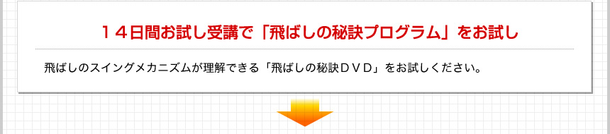 １４日間お試し受講で「飛ばしの秘訣プログラム」をお試し