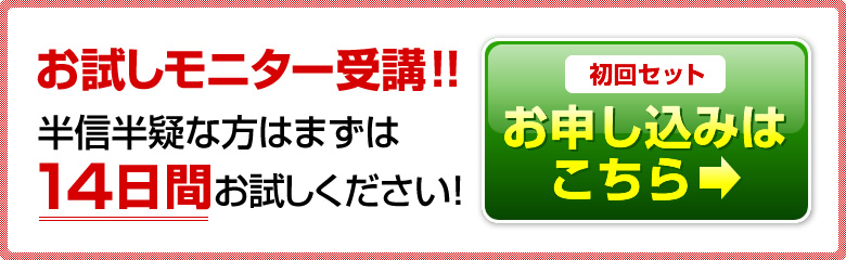 お試しモニター受講！！半信半疑な方はまずは１4日間お試しください！